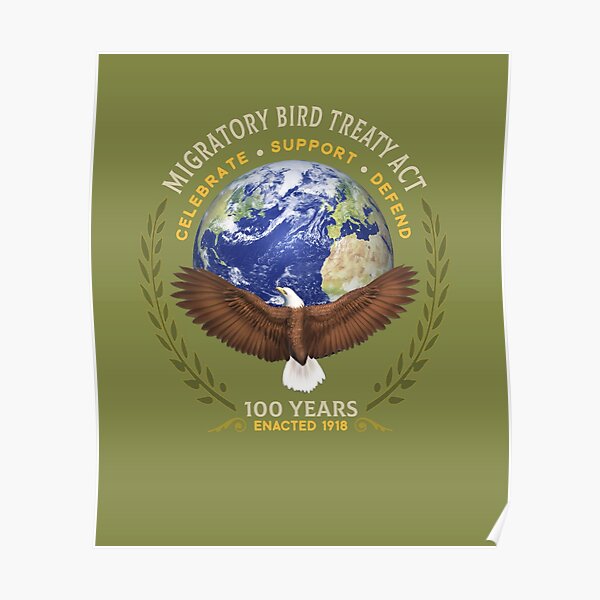 Póster «Ley del Tratado de Aves Migratorias de 1918 100 años de