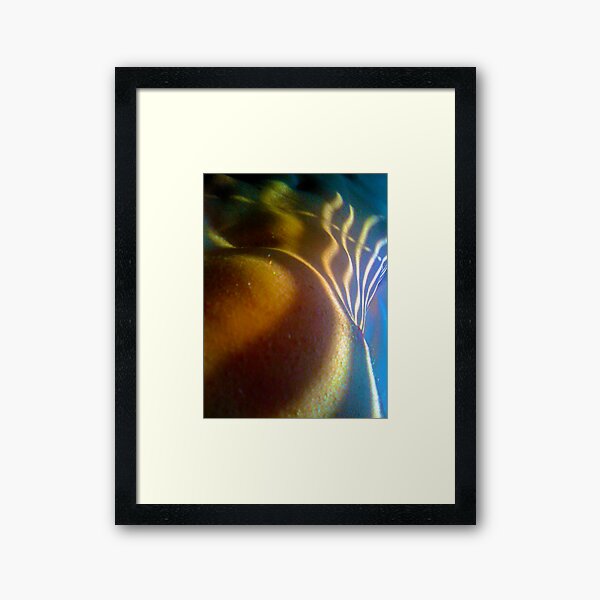 Item preview, venetian form in colour designed and sold by linelight.