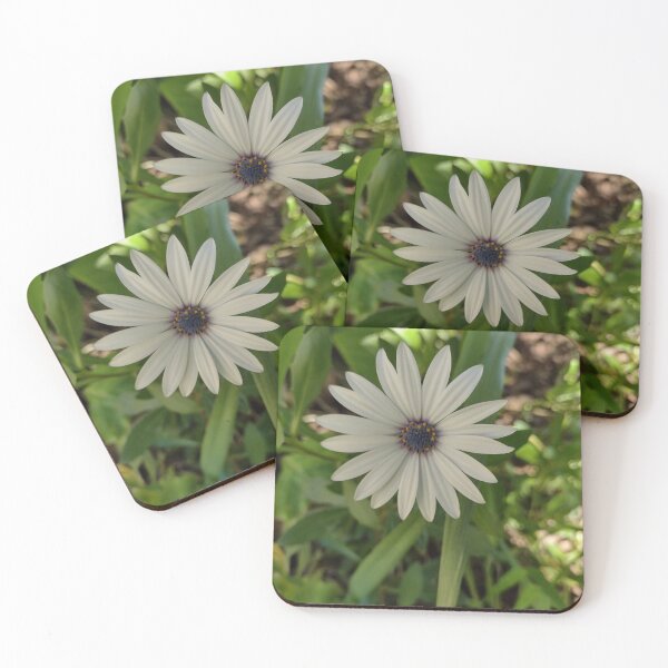 Item preview, Flor do jardim  designed and sold by Marcelodesenho.