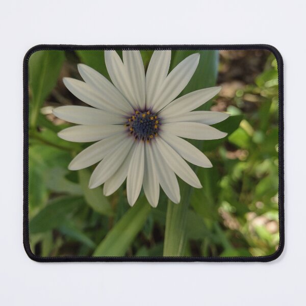 Item preview, Flor do jardim  designed and sold by Marcelodesenho.