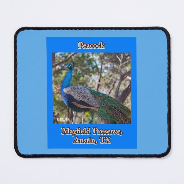 Item preview, Give The Bird To Your Lover, Peacock, Mayfield Preserve, Austin, Texas, designed and sold by MoreEZUSA-Here.