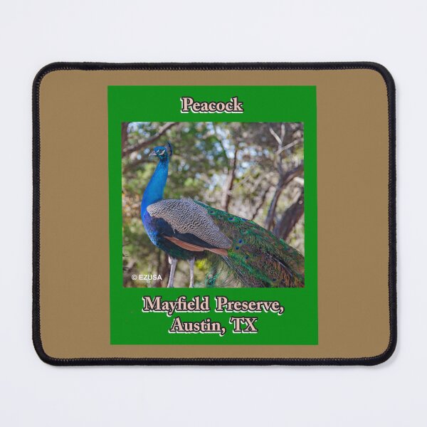 Item preview, Give Someone You Love The Bird, Peacock, Mayfield Preserve, Austin, Texas. designed and sold by MoreEZUSA-Here.