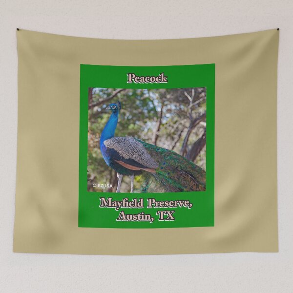 Item preview, Give Someone You Love The Bird, Peacock, Mayfield Preserve, Austin, Texas. designed and sold by MoreEZUSA-Here.