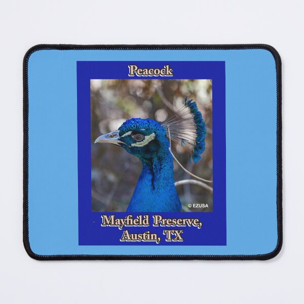 Item preview, Give Someone You Love The Bird, Peacock, Mayfield Preserve, Austin, Texas, designed and sold by MoreEZUSA-Here.