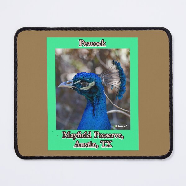 Item preview, The Perfect Gift For A Bird Lover, Peacock, Mayfield Preserve, Austin, Texas. designed and sold by MoreEZUSA-Here.