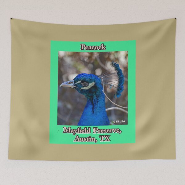 Item preview, The Perfect Gift For A Bird Lover, Peacock, Mayfield Preserve, Austin, Texas. designed and sold by MoreEZUSA-Here.