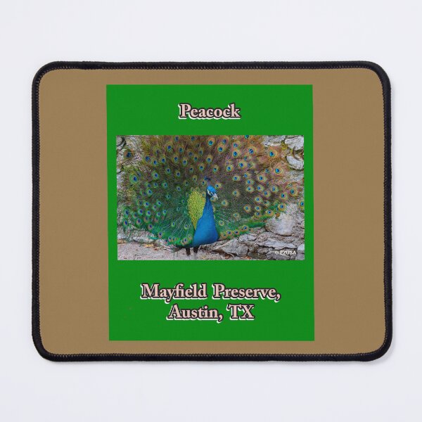 Item preview, For The Bird Lover In You, Peacock, Mayfield Preserve, Austin, Texas. designed and sold by MoreEZUSA-Here.