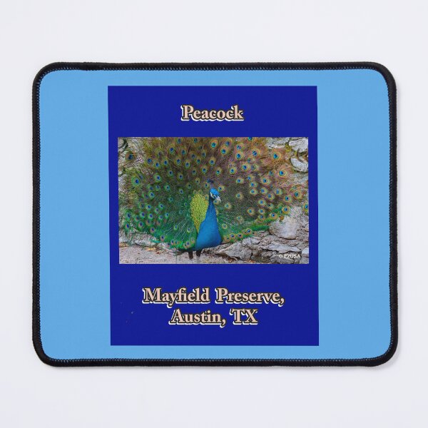 Item preview, Give The Bird To Your Lover, Peacock, Mayfield Preserve, Austin, Texas, designed and sold by MoreEZUSA-Here.
