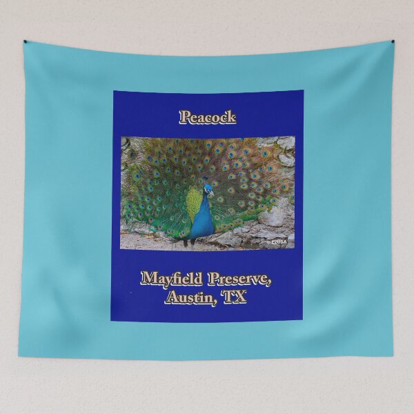 Item preview, Give The Bird To Your Lover, Peacock, Mayfield Preserve, Austin, Texas,  designed and sold by MoreEZUSA-Here.