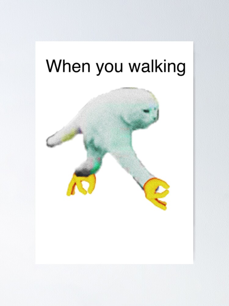 WHEN YOU WALKING DANK MEME Poster for Sale by MemesnDeams