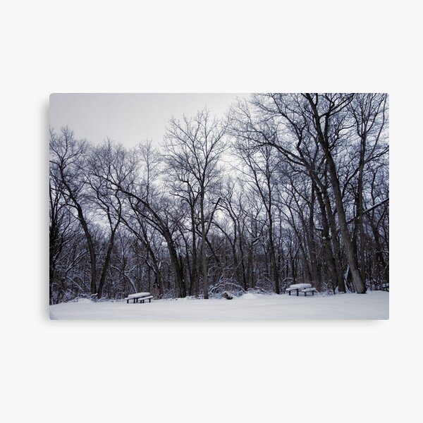 Item preview, Winter's Arboreal Majesty  designed and sold by Robert Meyers-Lussier.