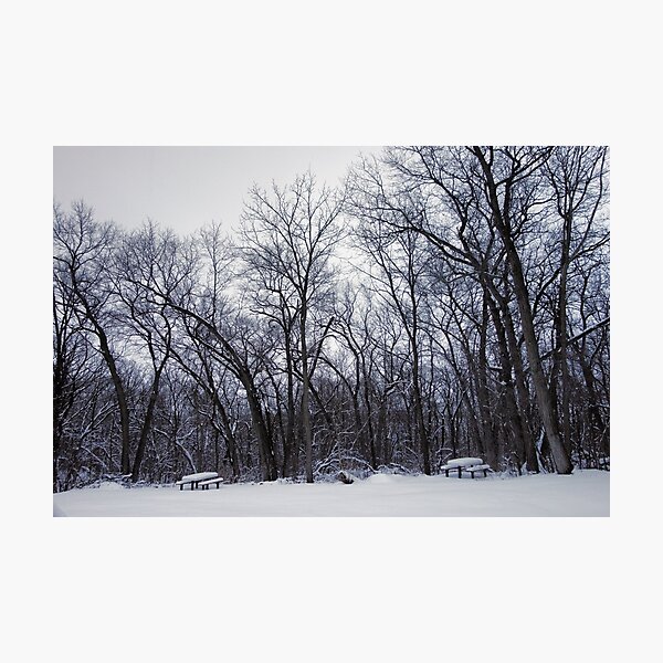 Item preview, Winter's Arboreal Majesty  designed and sold by Robert Meyers-Lussier.