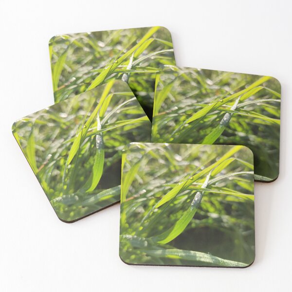 Item preview, Sparkling and magical morning dew in September sun designed and sold by tshuki.