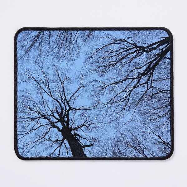 Item preview, Towering Trees before Dawn designed and sold by khayes62291.