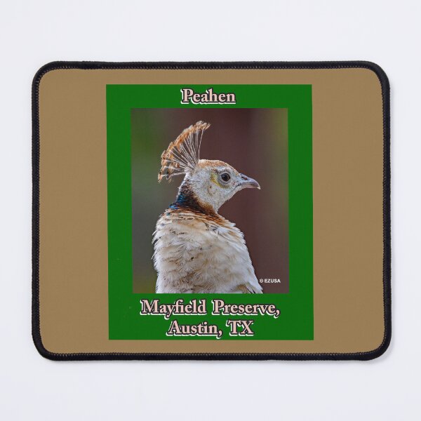 Item preview, Give Someone You Love The Bird, Peahen, Mayfield Preserve, Austin, Texas. designed and sold by MoreEZUSA-Here.
