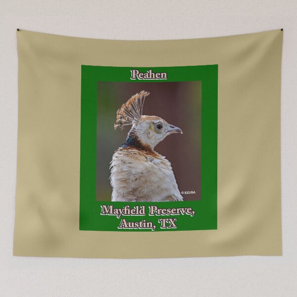 Item preview, Give Someone You Love The Bird, Peahen, Mayfield Preserve, Austin, Texas. designed and sold by MoreEZUSA-Here.