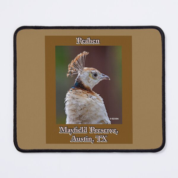 Item preview, The Perfect Gift For A Bird Lover, Peahen, Mayfield Preserve, Austin, Texas. designed and sold by MoreEZUSA-Here.