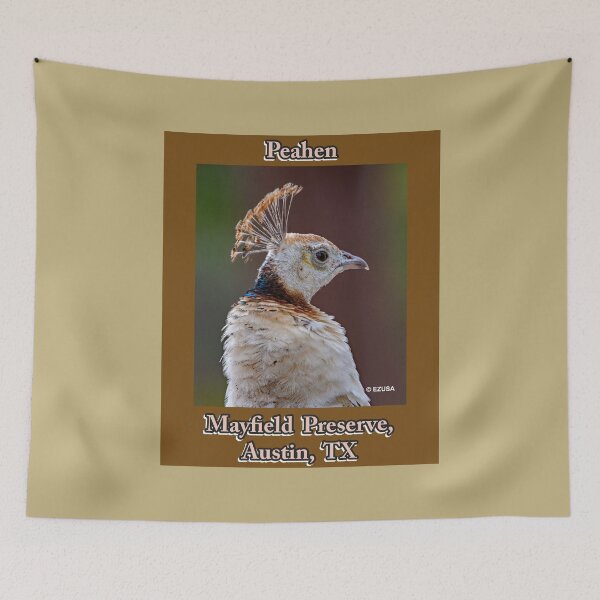 Item preview, The Perfect Gift For A Bird Lover, Peahen, Mayfield Preserve, Austin, Texas. designed and sold by MoreEZUSA-Here.