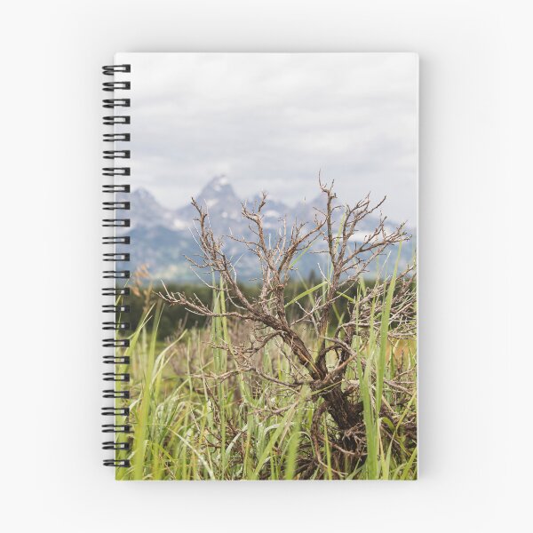 Item preview, Grand Teton from a Shrubs View designed and sold by hesselphoto.