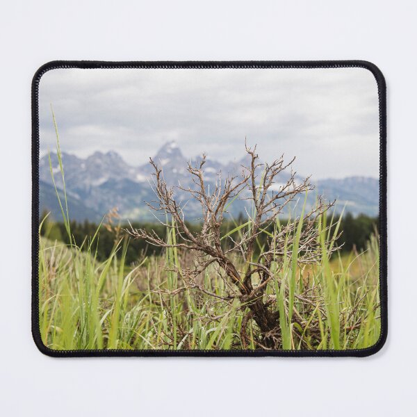 Item preview, Grand Teton from a Shrubs View designed and sold by hesselphoto.