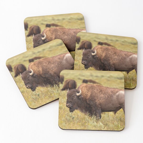 Item preview, Big Bull designed and sold by hesselphoto.