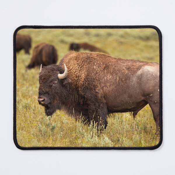 Item preview, Big Bull designed and sold by hesselphoto.