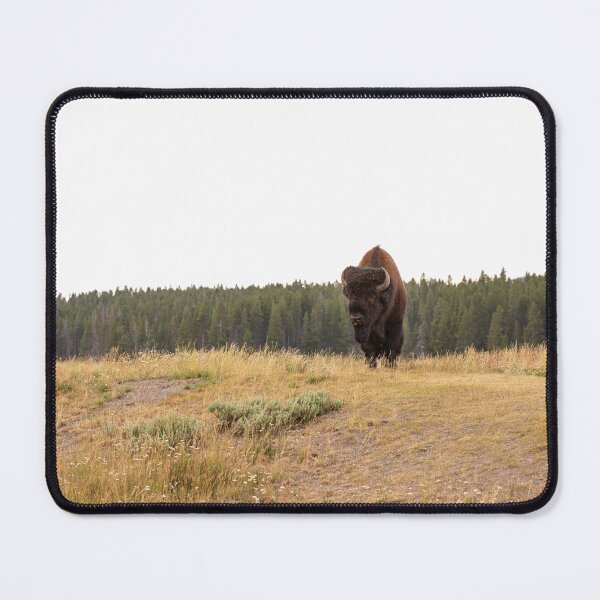 Item preview, Approaching Bison designed and sold by hesselphoto.