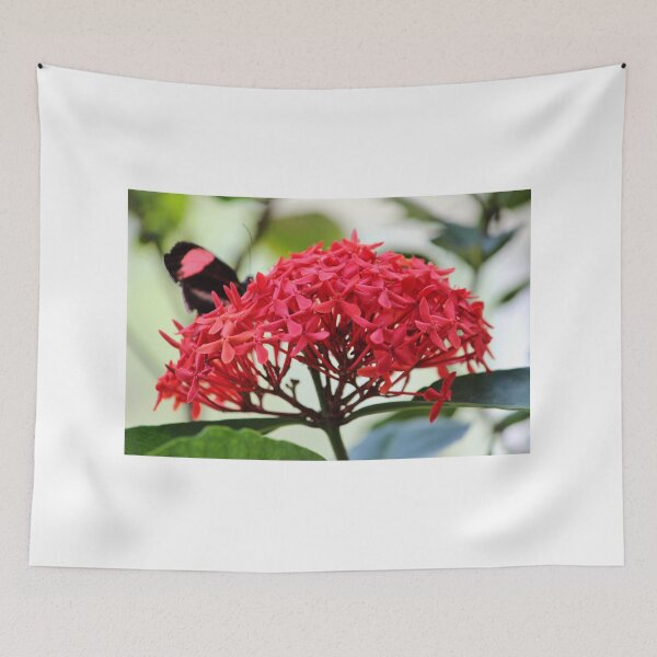 Item preview, Postman Dining  designed and sold by Cynthia48.