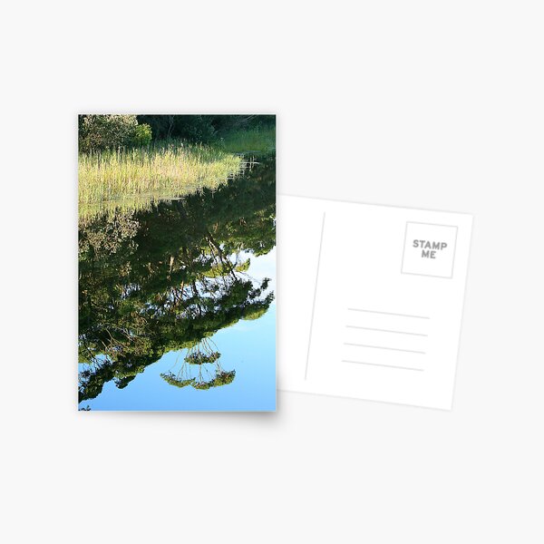Thurra Reflections Postcard