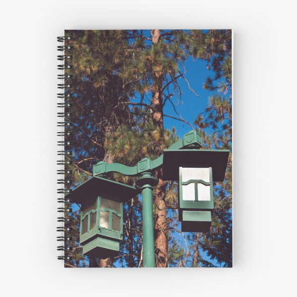 Item preview, Lamp post in the morning designed and sold by grainydaney.
