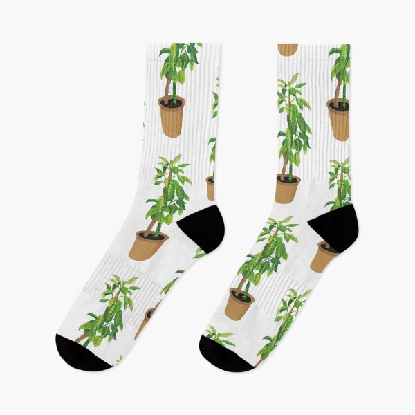 Item preview, Houseplant designed and sold by Ekaterina Khozatskaya.