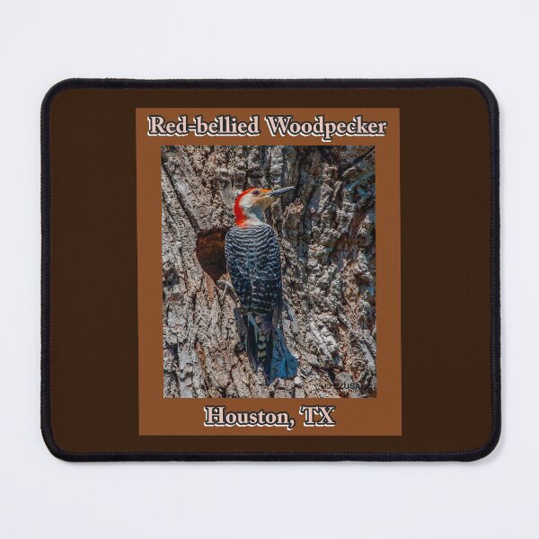 Item preview, Give The Bird To Your Lover. Red-bellied Woodpecker, Houston, Texas designed and sold by MoreEZUSA-Here.