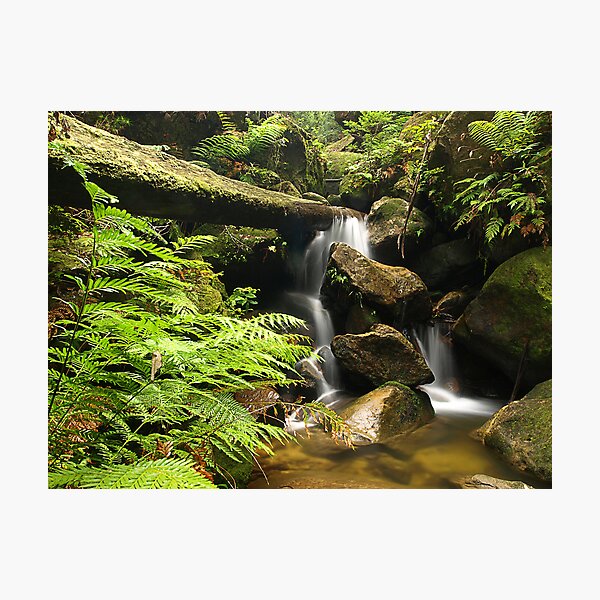 Item preview, Nature's Saviour - Blue Mountains NP, NSW designed and sold by Malcolm Katon.