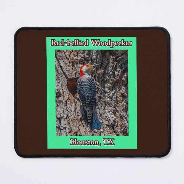 Item preview, For The Bird Lover In You. Red-bellied Woodpecker, Houston, Texas designed and sold by MoreEZUSA-Here.