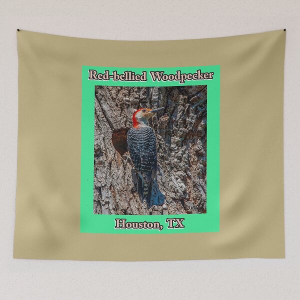 Item preview, For The Bird Lover In You. Red-bellied Woodpecker, Houston, Texas designed and sold by MoreEZUSA-Here.