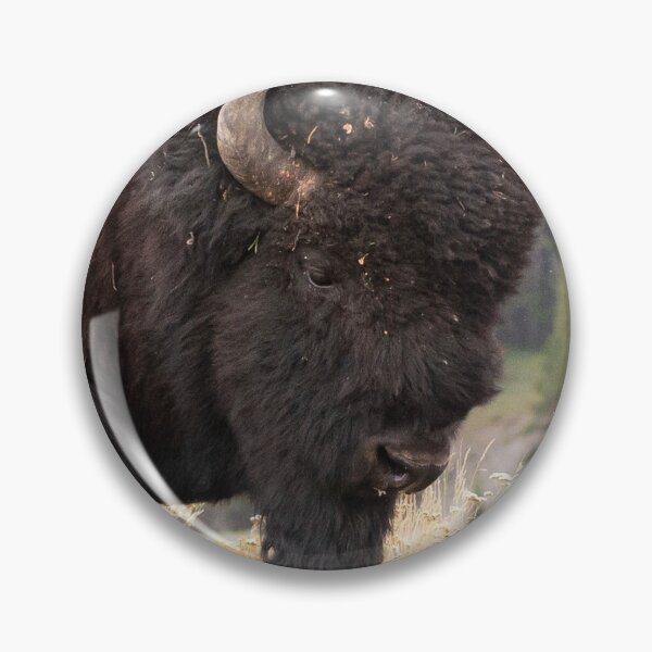 Artikelvorschau, Bison Bison entworfen und verkauft von hesselphoto.