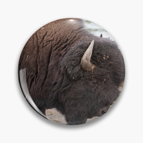 Artikelvorschau, Porträt eines Bisons entworfen und verkauft von hesselphoto.