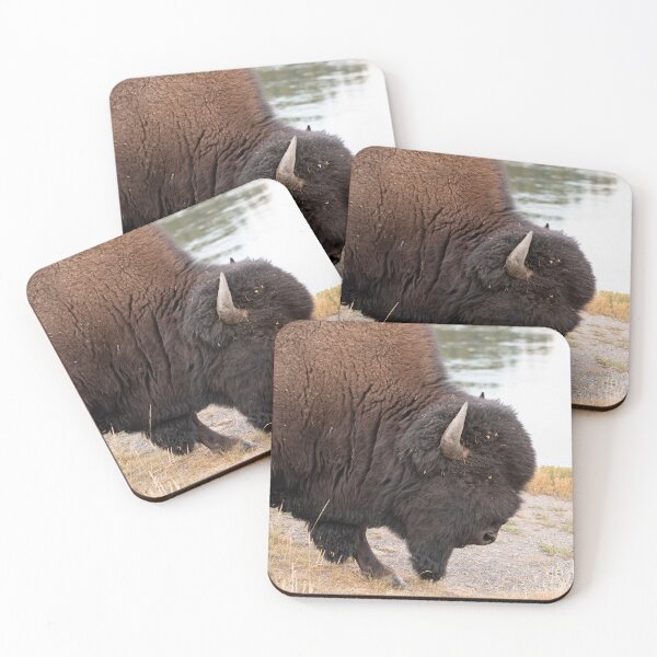 Item preview, Portrait of a Bison designed and sold by hesselphoto.
