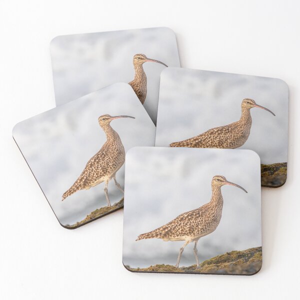 Item preview,  Eurasian curlew on rocks designed and sold by Martin Leber.
