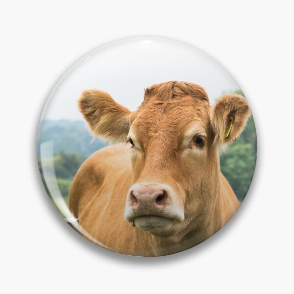 Item preview, Limousin Cow III designed and sold by Jane Stanley Photography.