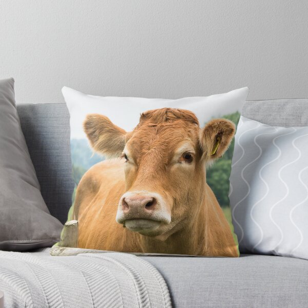 Item preview, Limousin Cow III designed and sold by JStanley19.