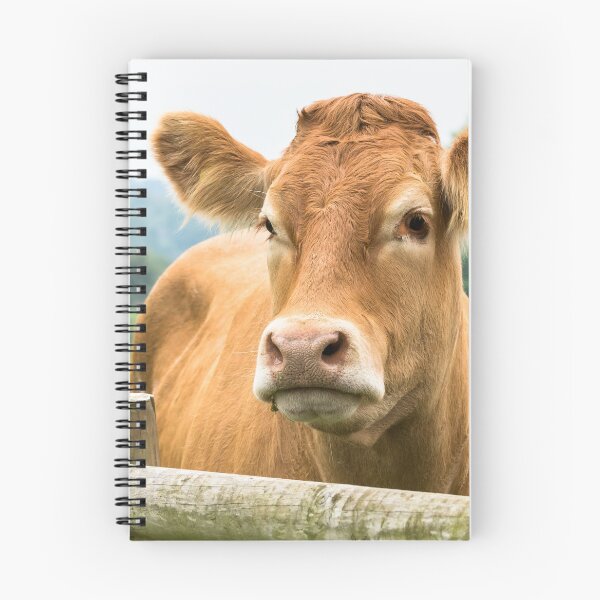 Item preview, Limousin Cow III designed and sold by Jane Stanley Photography.