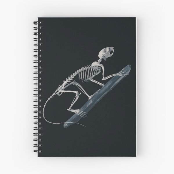 Item preview, Spooky Squirrel Skeleton climbing, in shades of ghoul designed and sold by DreamingBeetle.