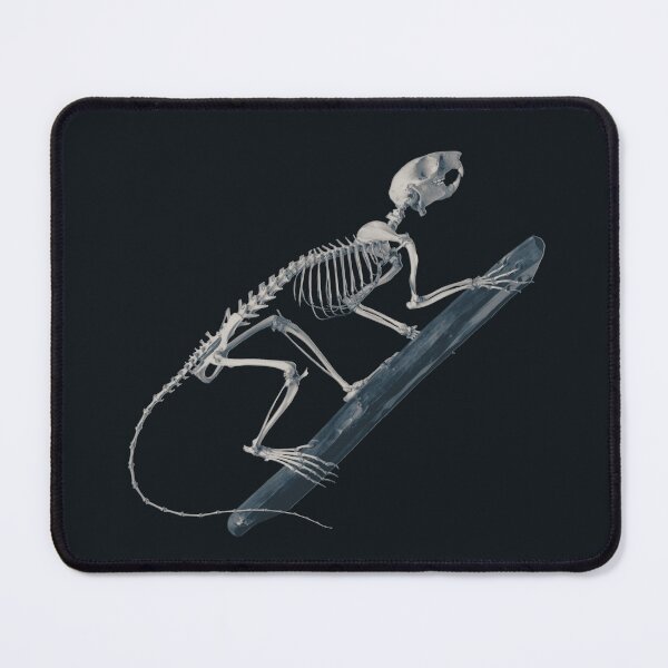 Item preview, Spooky Squirrel Skeleton climbing, in shades of ghoul designed and sold by DreamingBeetle.