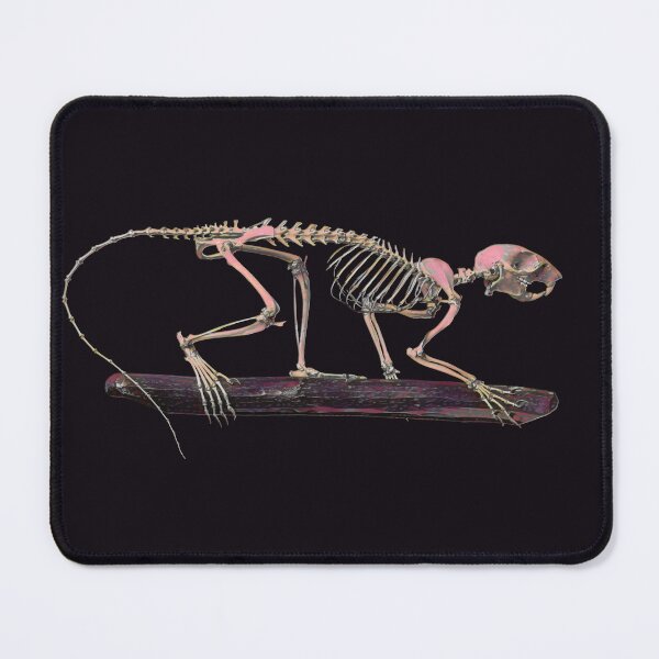 Item preview, Spooky Squirrel Skeleton in purple dawn designed and sold by DreamingBeetle.