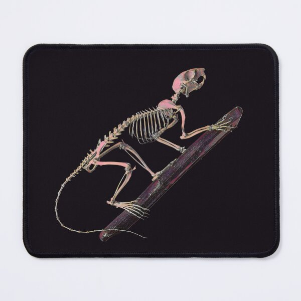 Item preview,  Spooky Squirrel Skeleton climbing, in purple dawn designed and sold by DreamingBeetle.