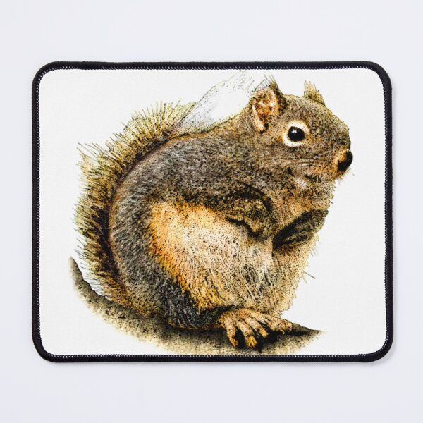 Item preview, Douglas squirrel is very cute designed and sold by painting23.