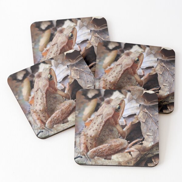 Item preview, Frog designed and sold by SunsetFirefly.