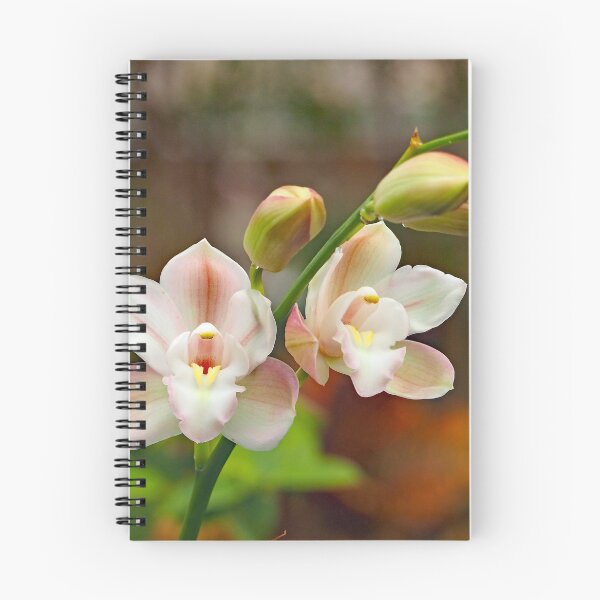 Item preview, Orchid 846 designed and sold by Strawflower Oasis.