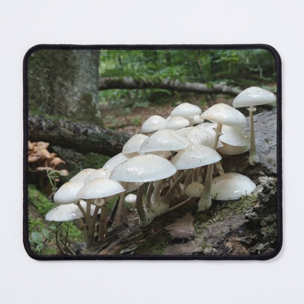 Item preview, White Mushrooms designed and sold by SunsetFirefly.